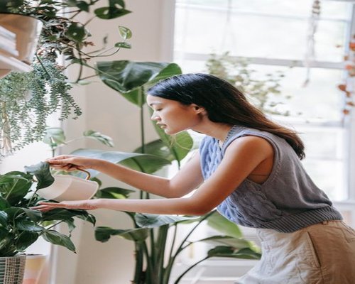 Indoor domestic scene showing light physical activity like watering plants
